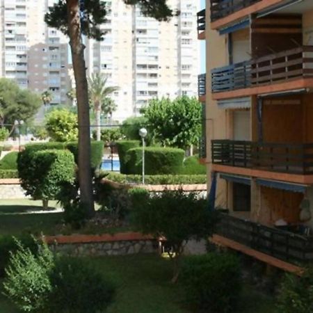 Las Lanzas Studio Apartment Playa Muchavista El Campello Eksteriør bilde