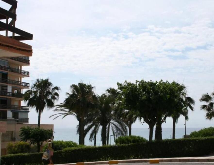 Las Lanzas Studio Apartment Playa Muchavista El Campello Eksteriør bilde