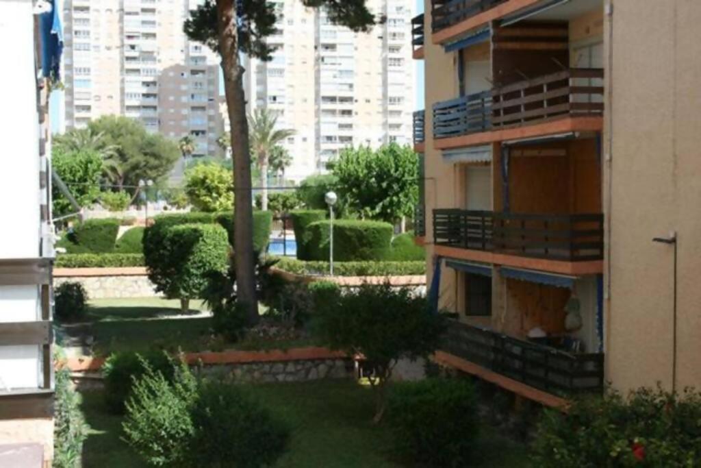 Las Lanzas Studio Apartment Playa Muchavista El Campello Eksteriør bilde