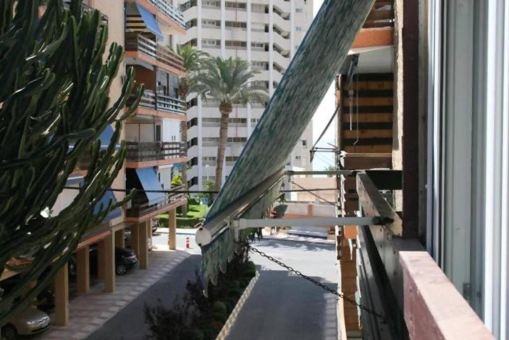 Las Lanzas Studio Apartment Playa Muchavista El Campello Eksteriør bilde